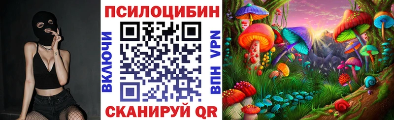 Псилоцибиновые грибы Magic Shrooms  купить закладку  ОМГ ОМГ маркетплейс  Покачи 